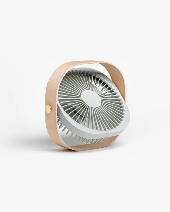 Ventilator Tragbar  Fantastic Wood Pistachio