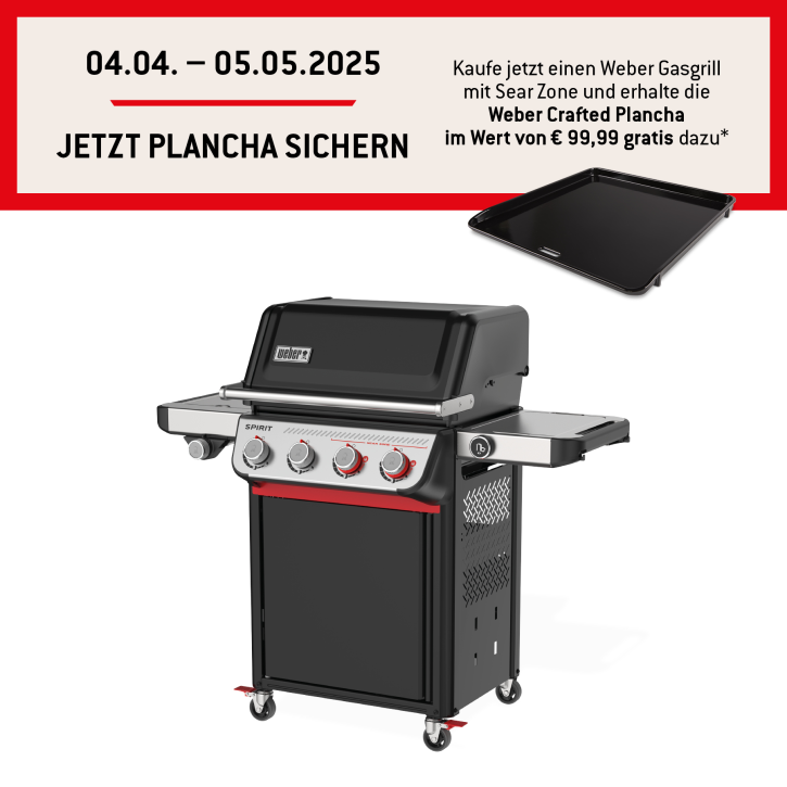 Spirit EP - 435 Gasgrill