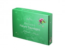 Rosenthal Brillance Fleurs Sauvages Set 6-tlg.