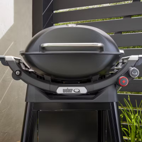 Weber Q 3200N+