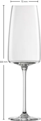 Sekt & Schaumweinglas 2er Set Zwiesel Vivid Senses